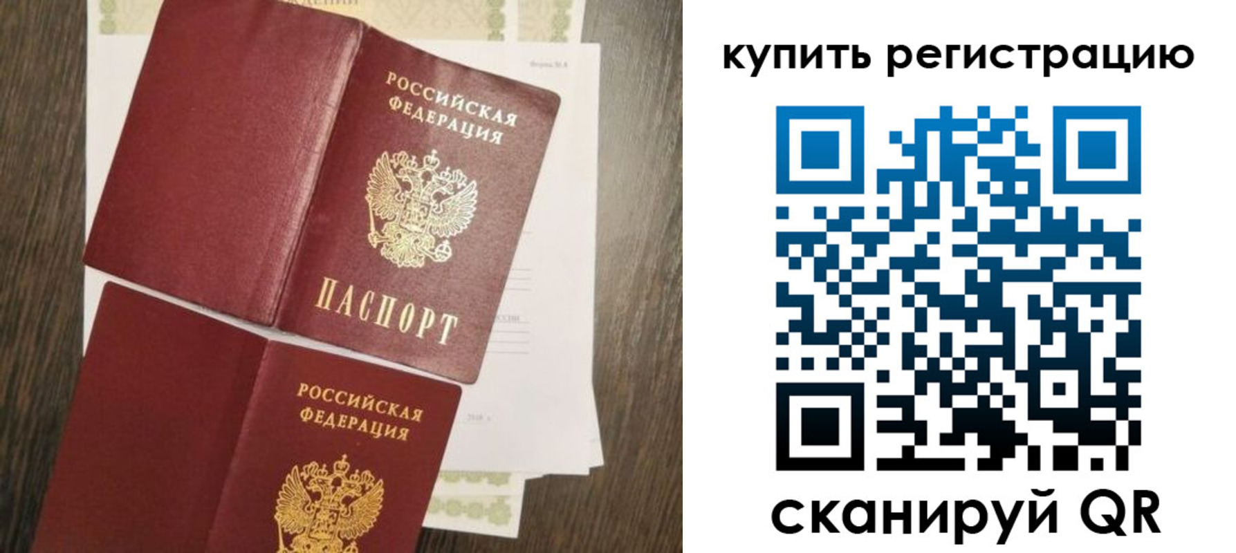 прописка 2025 в Светлогорске