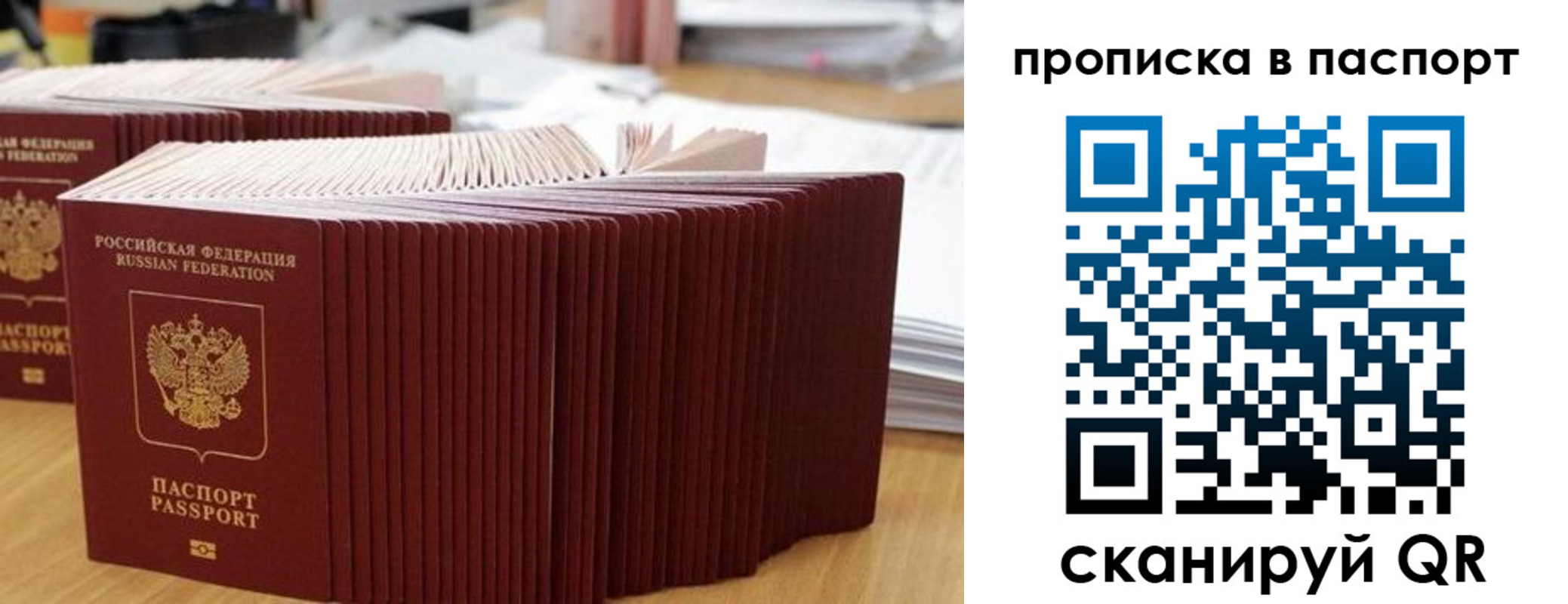 регистрация в Светлогорске