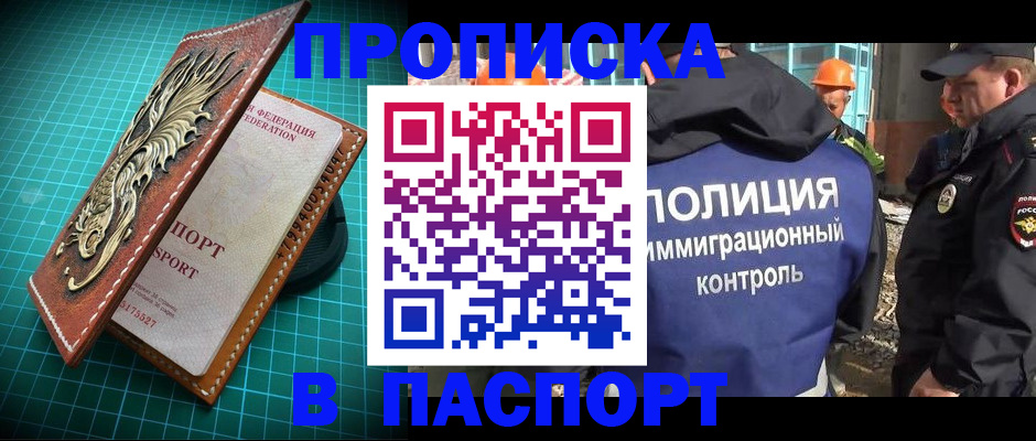 где прописаться в Светлогорске